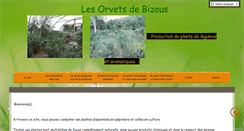 Desktop Screenshot of lesorvetsdebizous.com